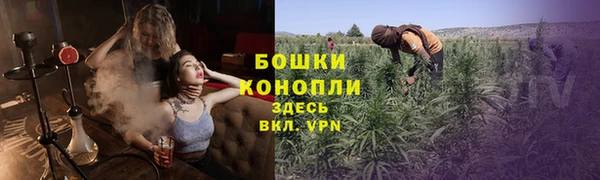 мдпв Богданович