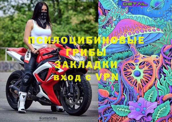 мдпв Богданович