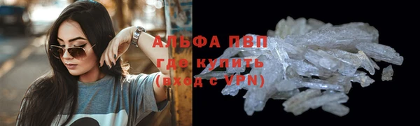 мдпв Богданович