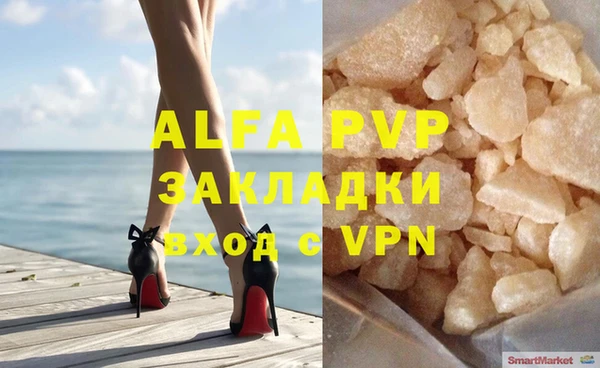 мдпв Богданович