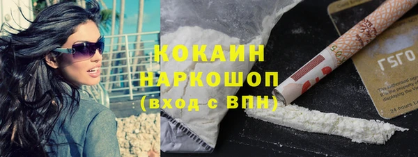 мдпв Богданович