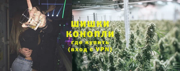мдпв Богданович