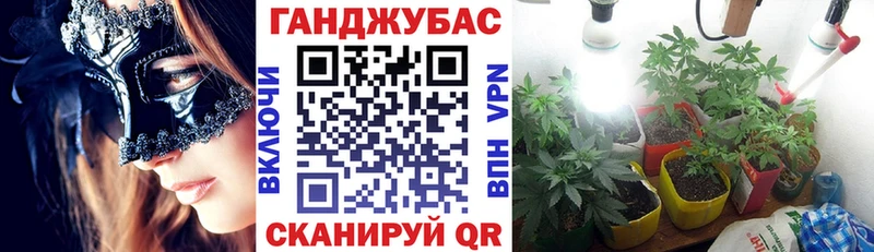 Купить  Бакал  Бошки Шишки OG Kush 